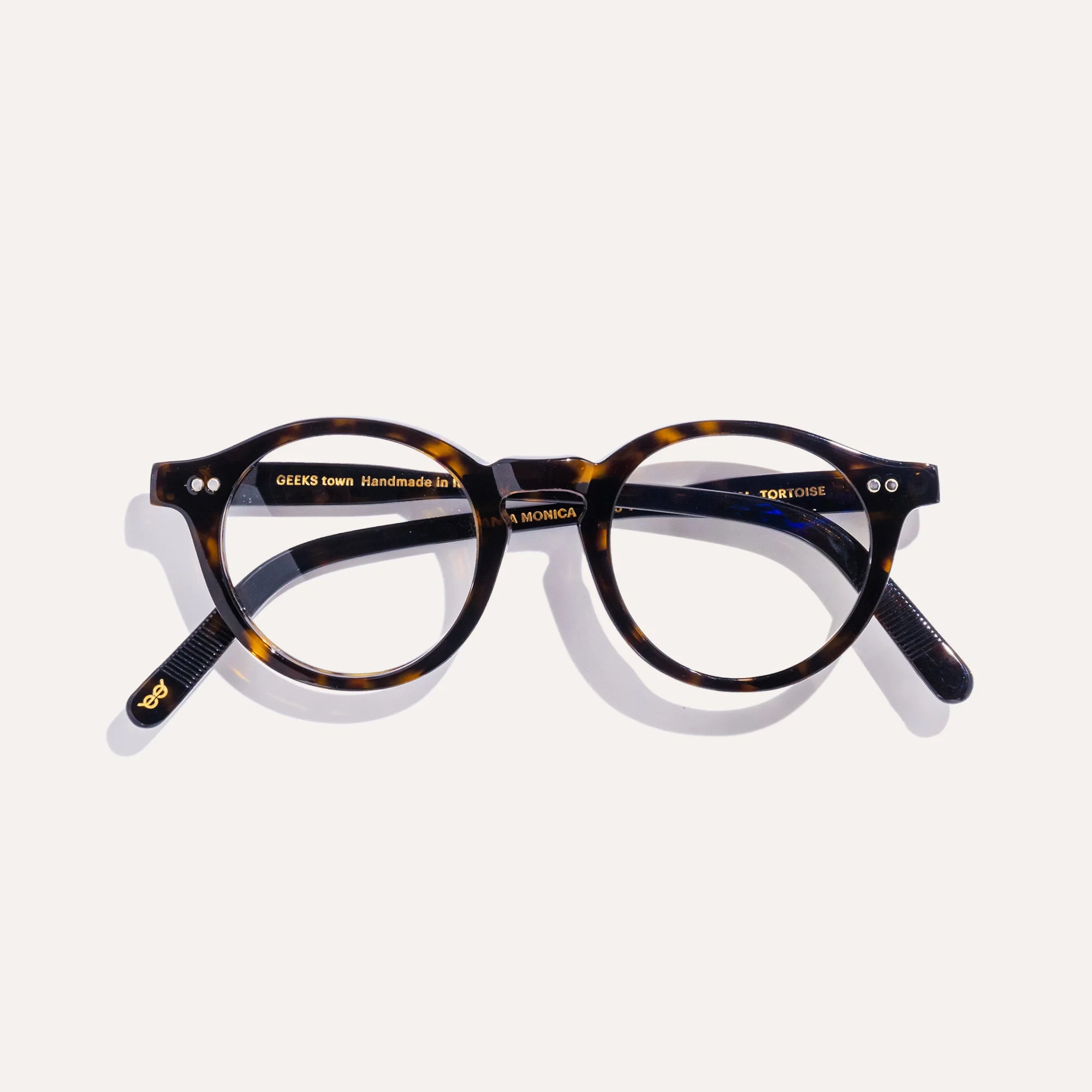 Santa Monica Tortoise