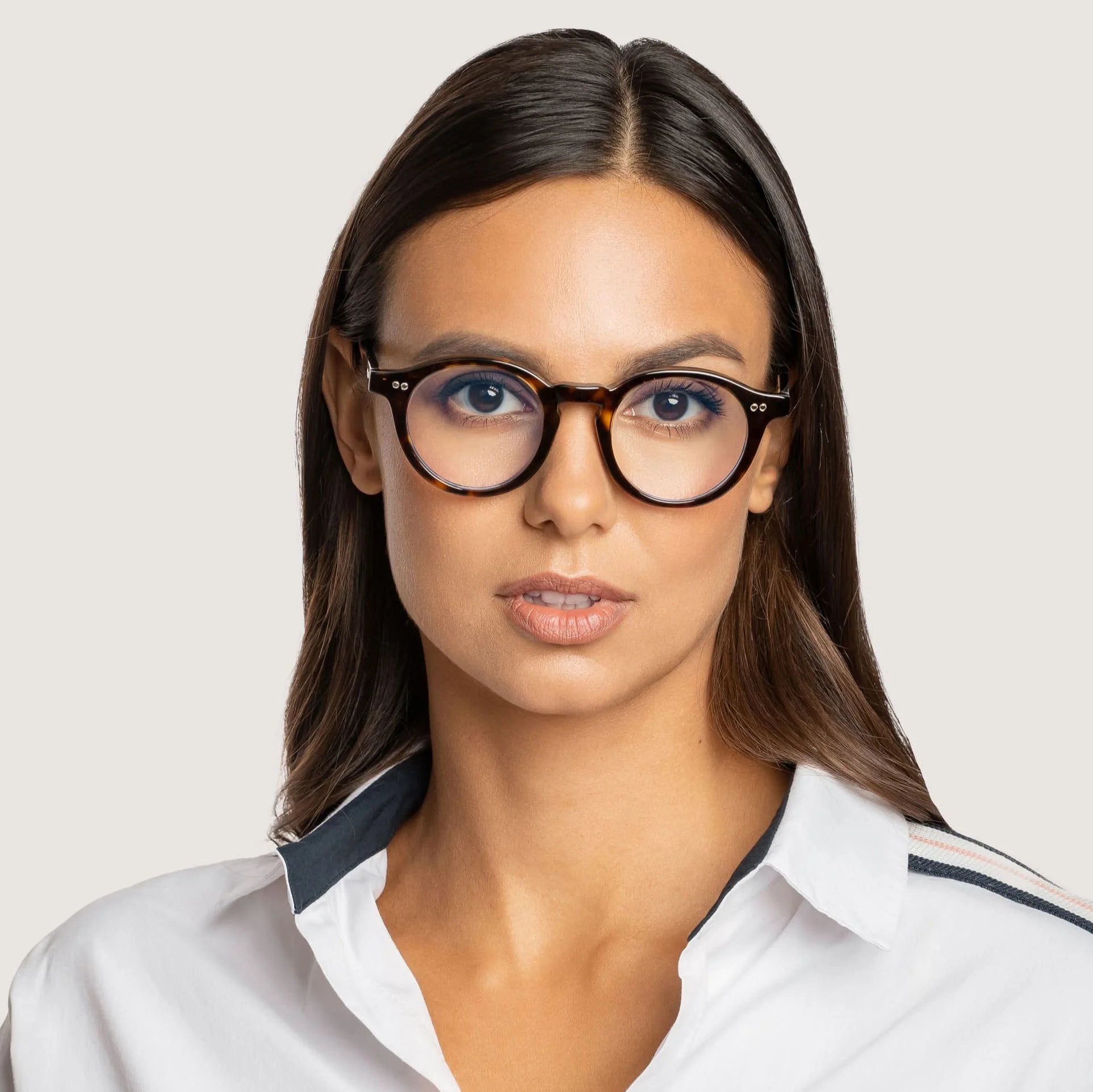 Santa Monica Tortoise